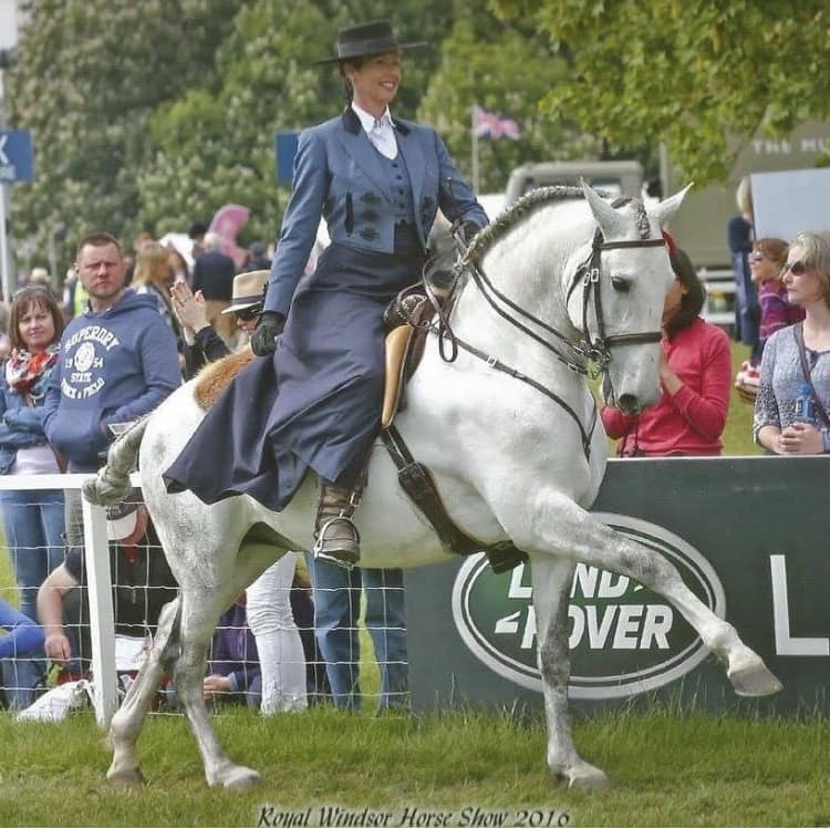 Alex Downing & her Lusitano stallion Ehpico